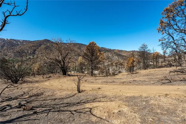 a view of yard covered in snow