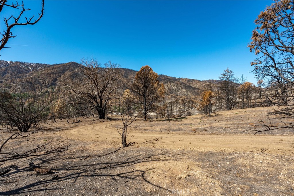 0 North Cardinal Road Wrightwood, CA 92397 - Photo 9 of 22 a view of yard covered in snow