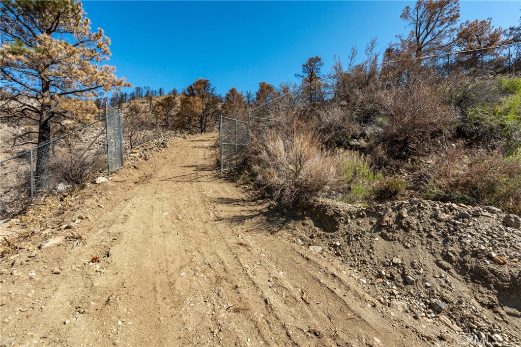 0 North Cardinal Road Wrightwood, CA 92397 - Photo 10 of 22 a view of a yard with a tree