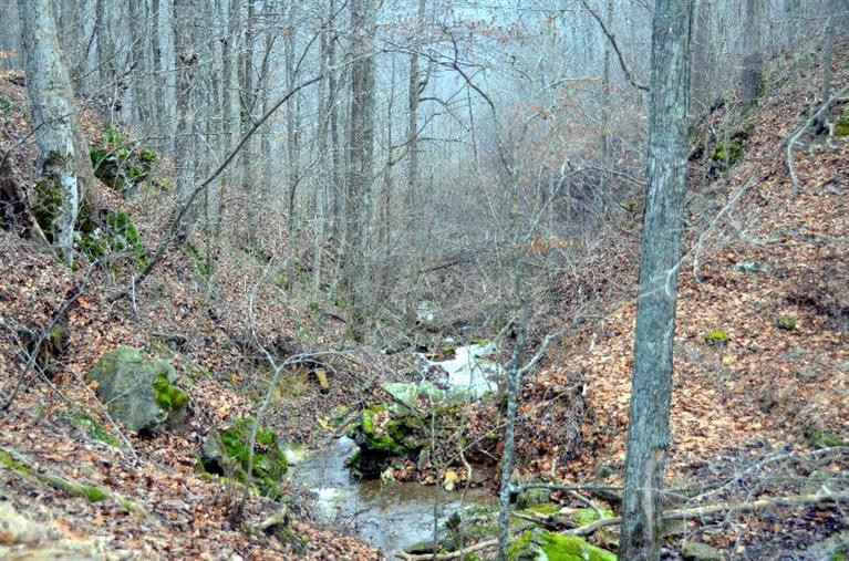1709 Macedonia Road Irvine, KY 40336 - Photo 47 of 87 Beautiful moss covered rocks line the cr