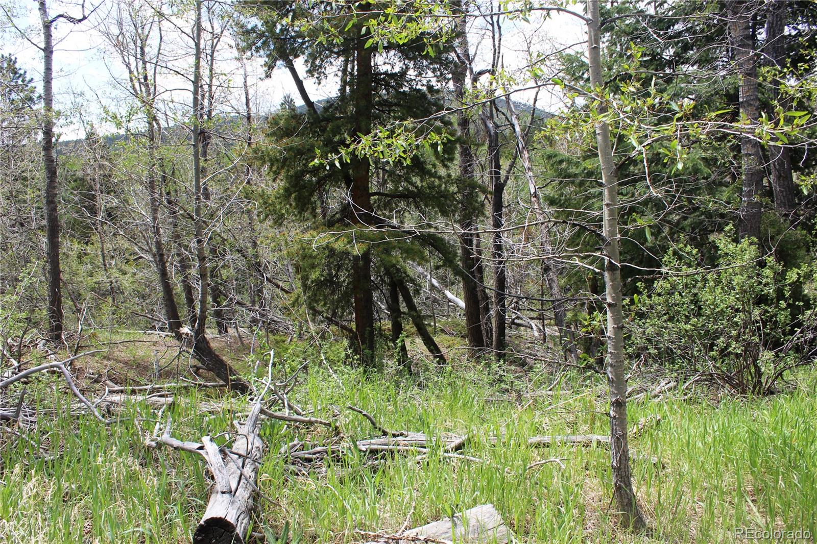 0 Quartz Hill Road Central City, CO 80427 - Photo 24 of 30