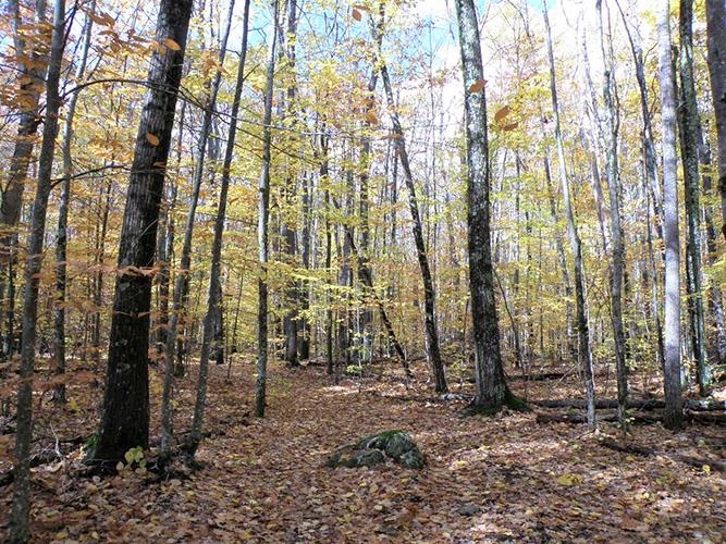 0 Pratt Road Salisbury, VT 05769 - Photo 16 of 17