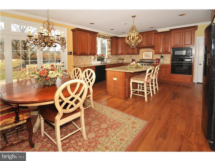 3910 Ruckman Way Doylestown, PA 18902 - Photo 2 of 23 Kitchen