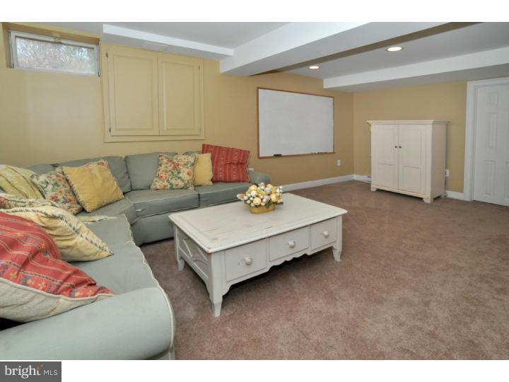 3910 Ruckman Way Doylestown, PA 18902 - Photo 17 of 23 Basement - Finished