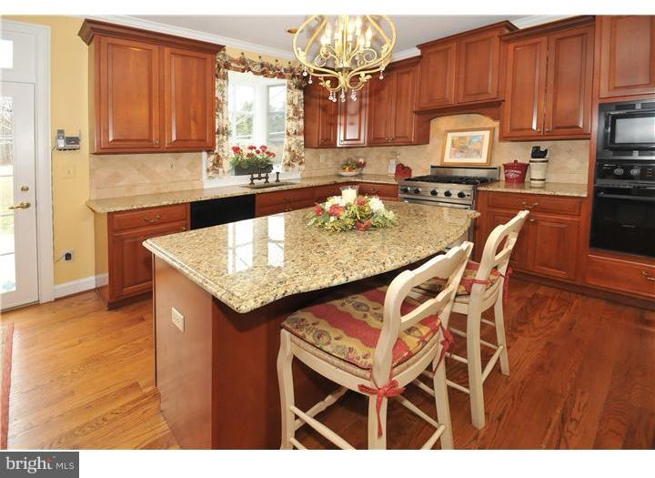 3910 Ruckman Way Doylestown, PA 18902 - Photo 3 of 23 Kitchen
