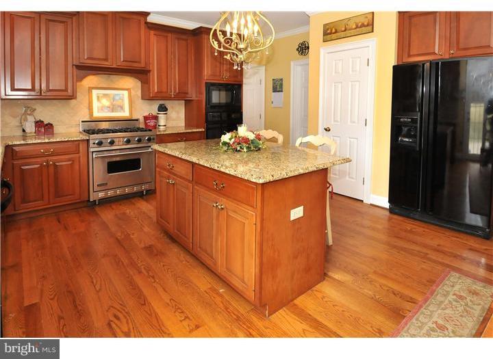 3910 Ruckman Way Doylestown, PA 18902 - Photo 4 of 23 Kitchen