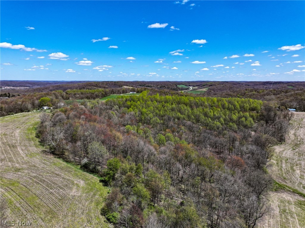 6692 Butler-North Liberty Road Butler, OH 44822 - Photo 8 of 23 View of aerial view