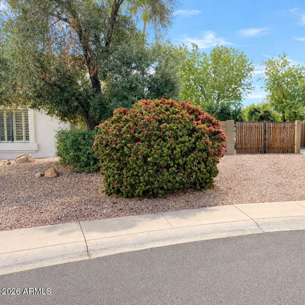 601 East Silver Creek Road Gilbert, AZ 85296 - Photo 46 of 47 RV gate