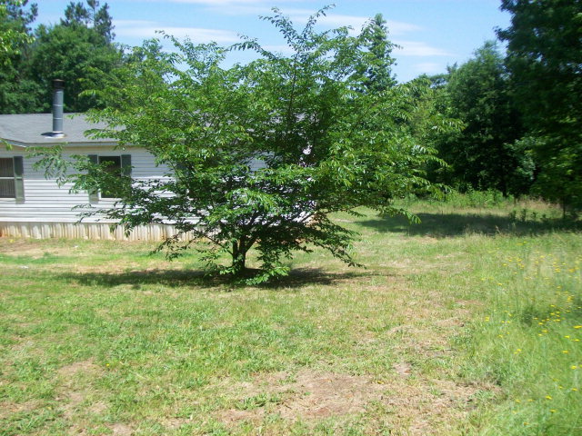 43 Taylor Woods Road Gordon, GA 31031 - Photo 1 of 9 Primary Photo