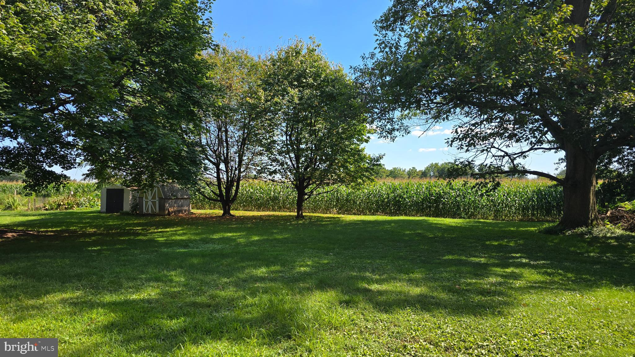 1734 Becker Road Manheim, PA 17545 - Photo 7 of 30 a view of a grassy field with trees
