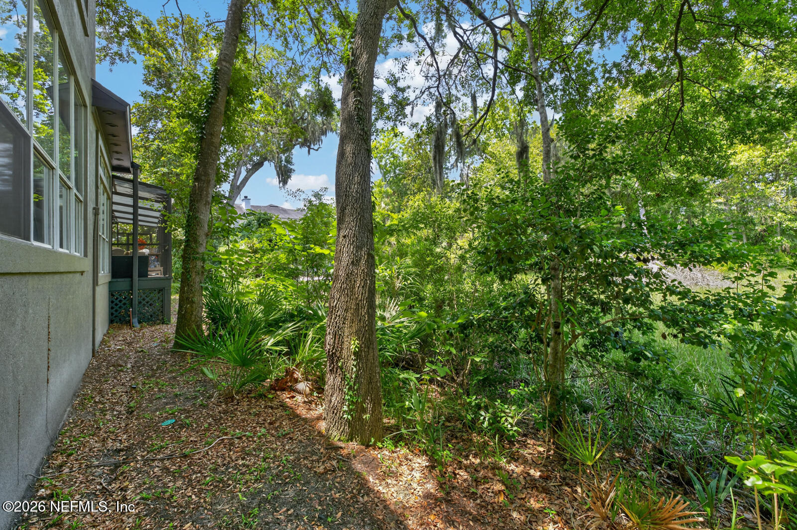 13827 Longs Landing Road East Jacksonville, FL 32225 - Photo 37 of 60 Back of Yard
