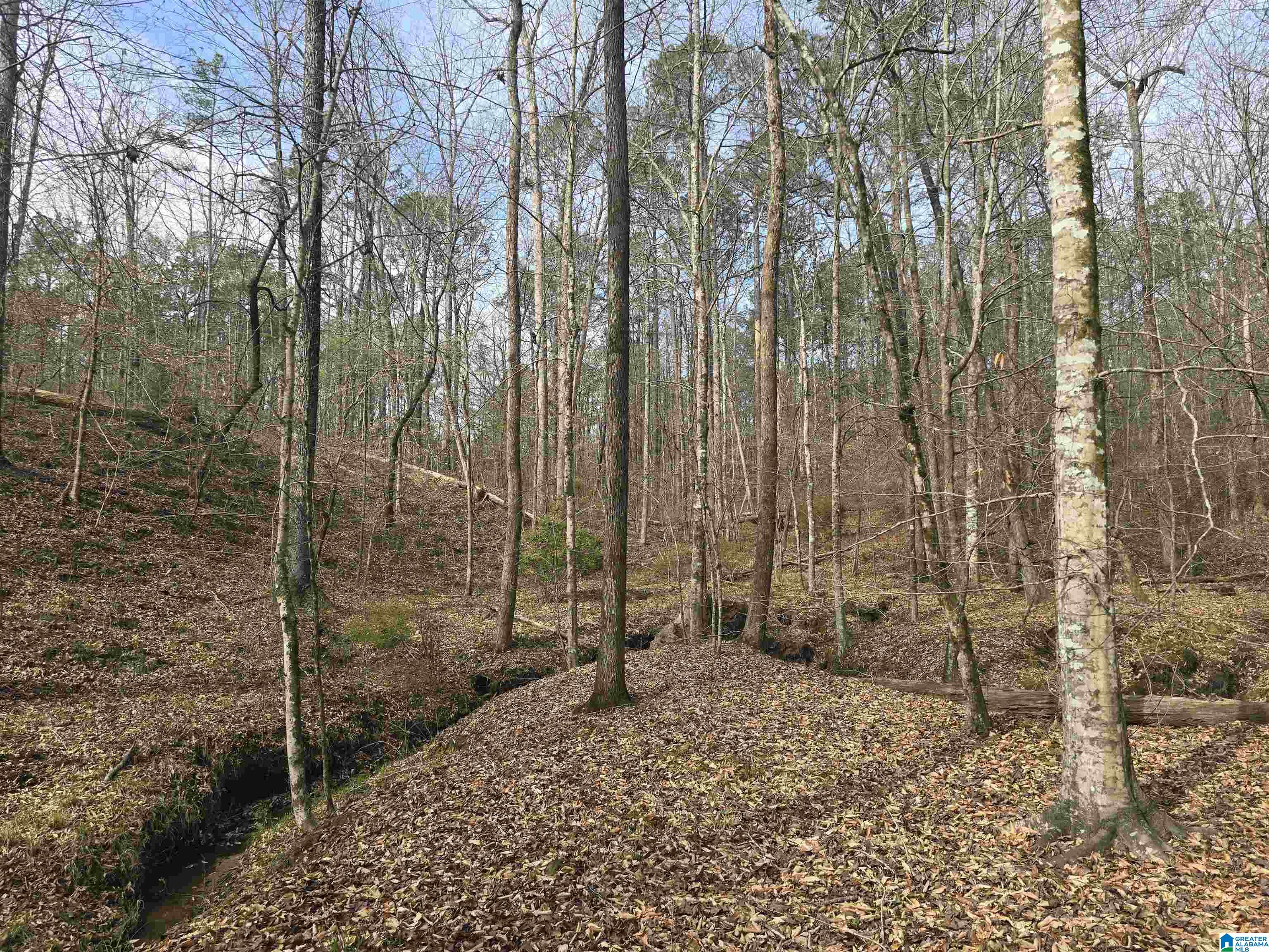 354 Springwell Road Rockford, AL 35136 - Photo 12 of 68