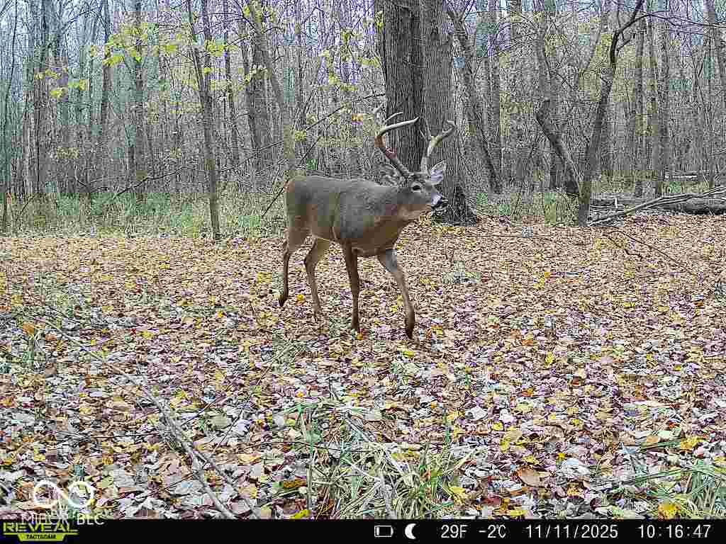 6000 East Block County Rd 1000 North Columbus, IN 47274 - Photo 3 of 4