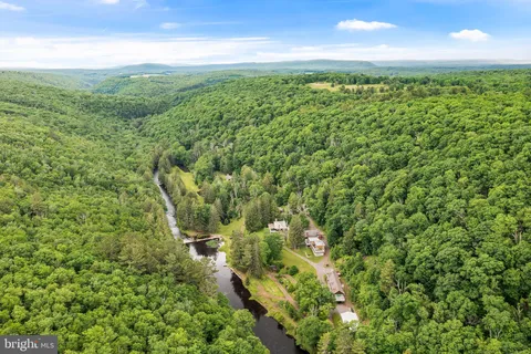 a view of a lush green forest with lots of trees