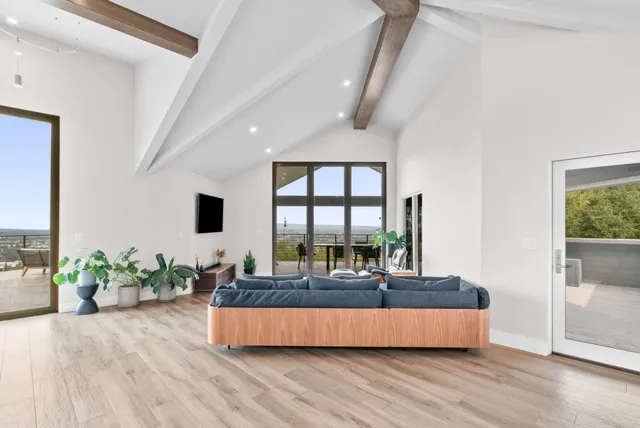 a living room with furniture and a potted plant