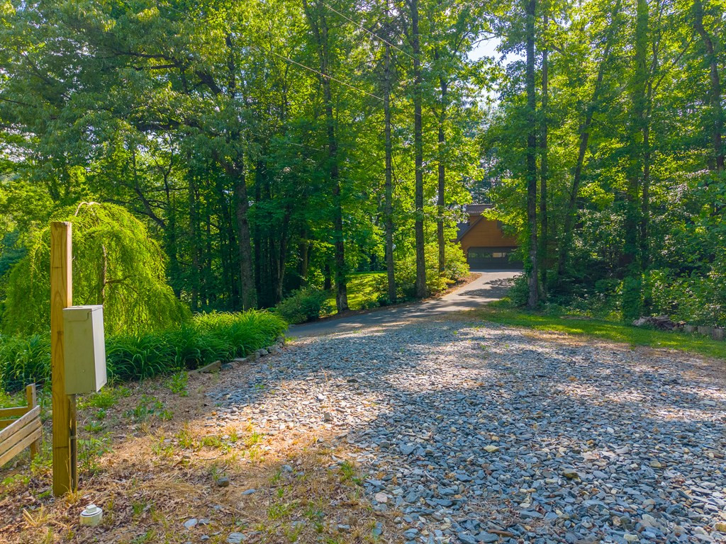 171 High Splendor Drive Robbinsville, NC 28771 - Photo 56 of 62