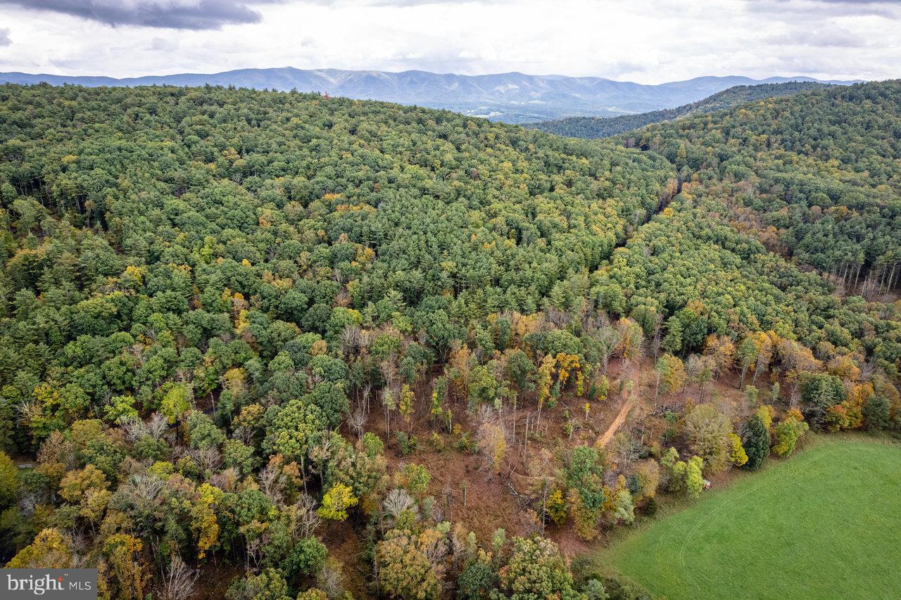 0 Dry Run Road Brandywine, WV 26802 - Photo 21 of 33