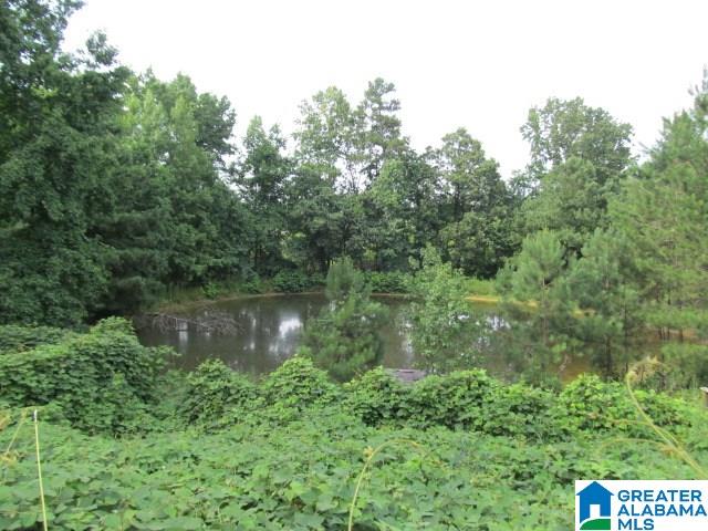 2931 Wilson Chapel Road Altoona, AL 35952 - Photo 26 of 36
