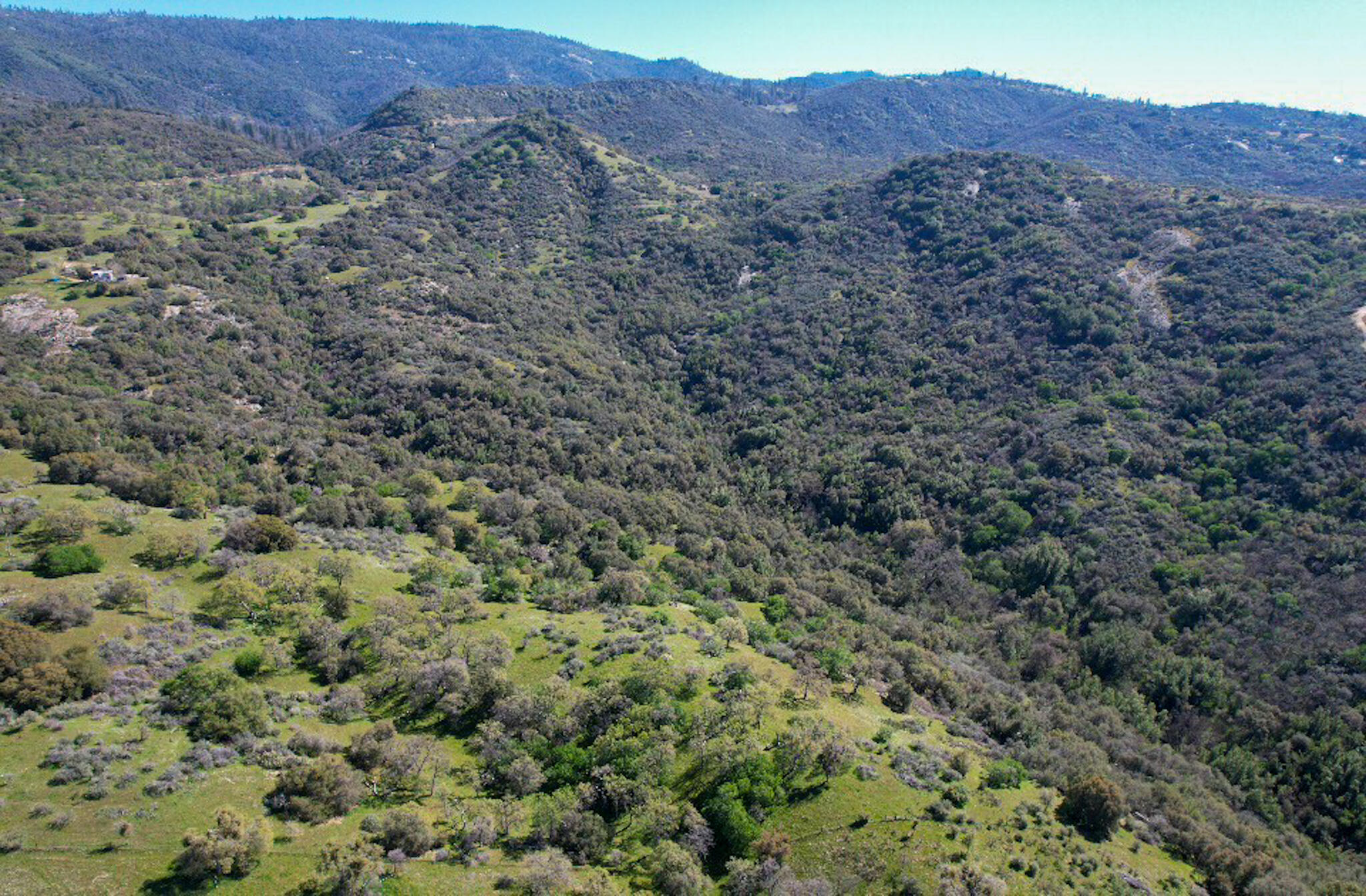 44981 Todd Eymann Road Miramonte, CA 93641 - Photo 57 of 74 DJI_0076