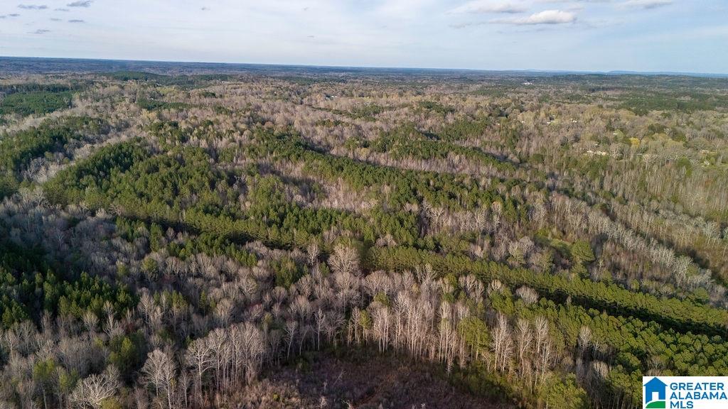 0 Alma Road, Unit 1 Jasper, AL 35501 - Photo 4 of 5