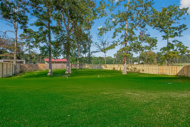 a view of garden with trees