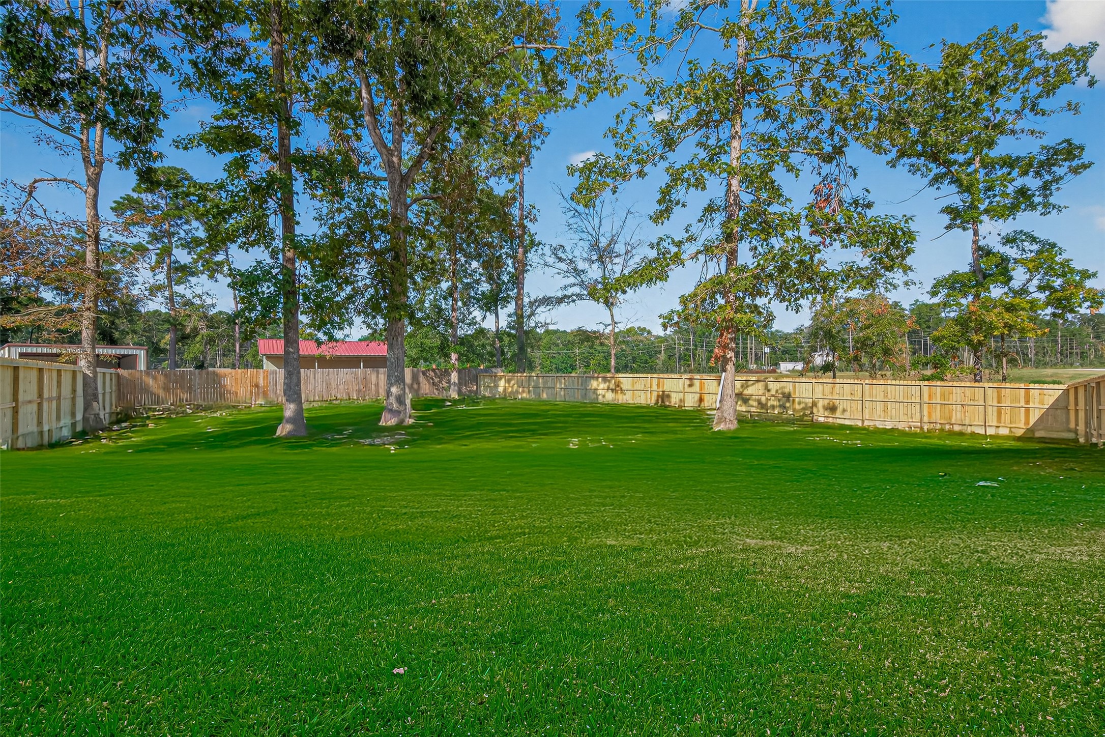 10594 Rustling Oaks Drive Conroe, TX 77303 - Photo 35 of 40 a view of a park with large trees