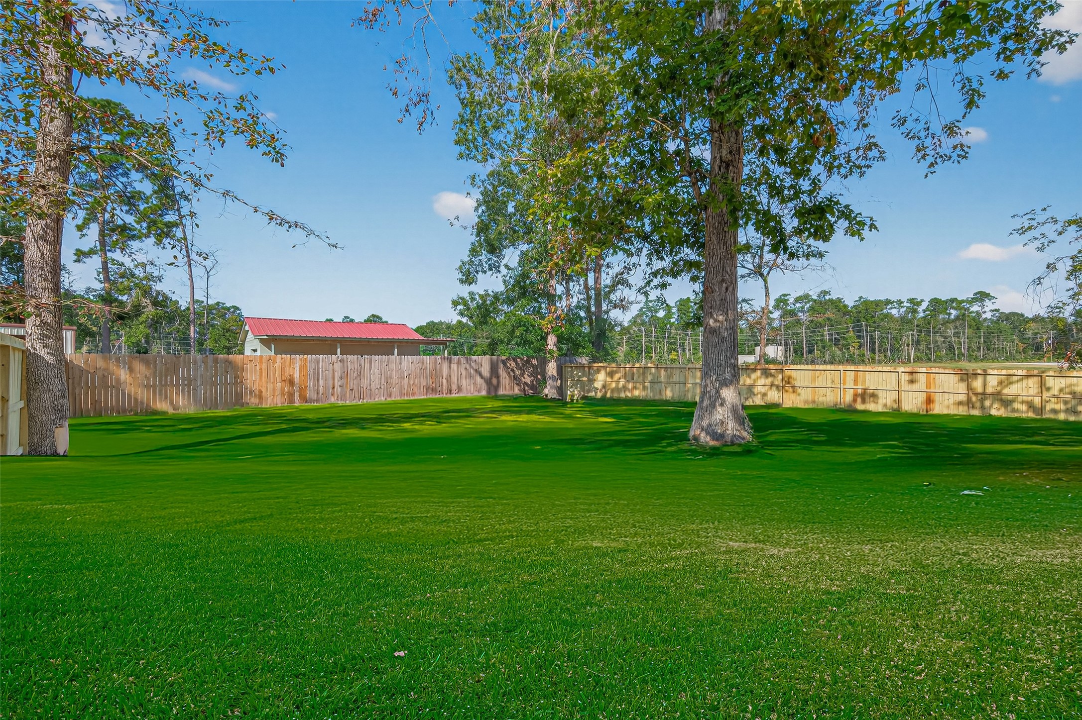 10594 Rustling Oaks Drive Conroe, TX 77303 - Photo 36 of 40 a view of garden with trees