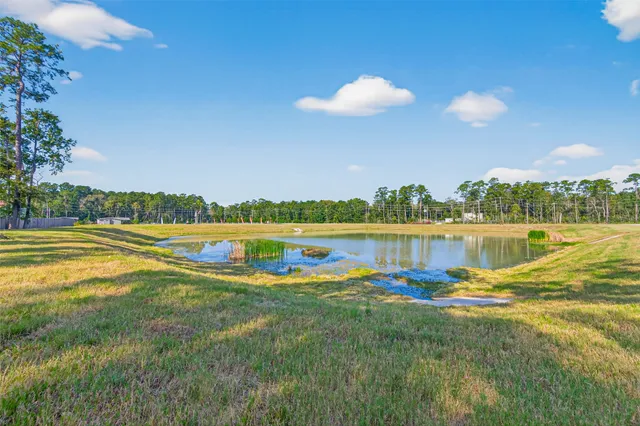 $2,450 | 10594 Rustling Oaks Drive, Conroe, TX 77303