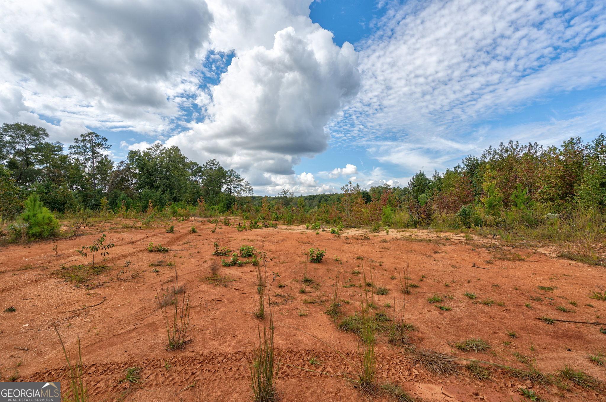 0 Old Salem Road Watkinsville, GA 30677 - Photo 11 of 23 a view of a yard with an trees