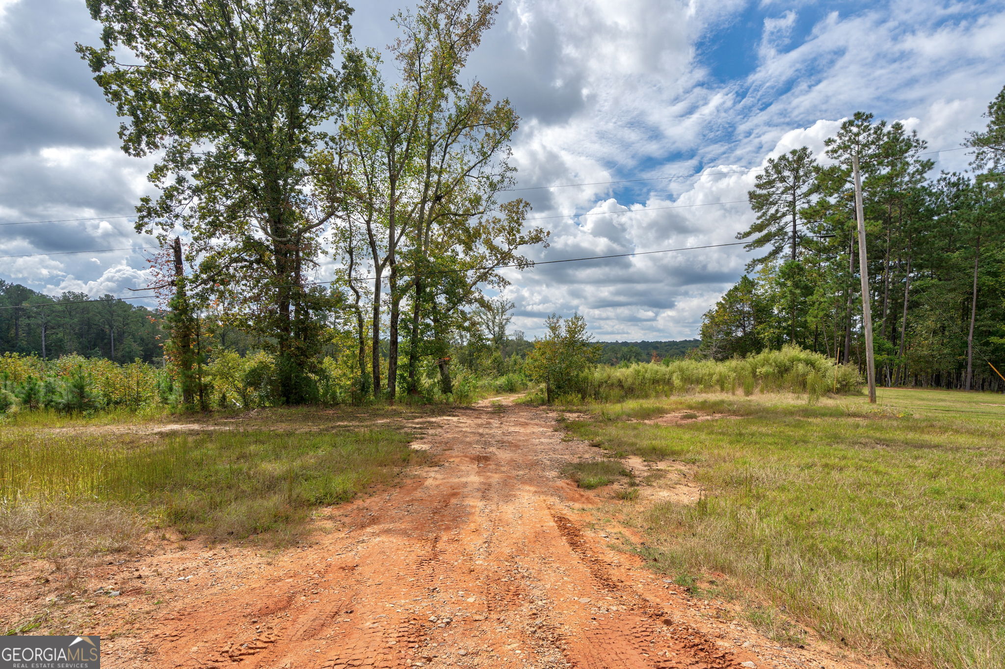0 Old Salem Road Watkinsville, GA 30677 - Photo 12 of 23 a view of a field with a trees in the background