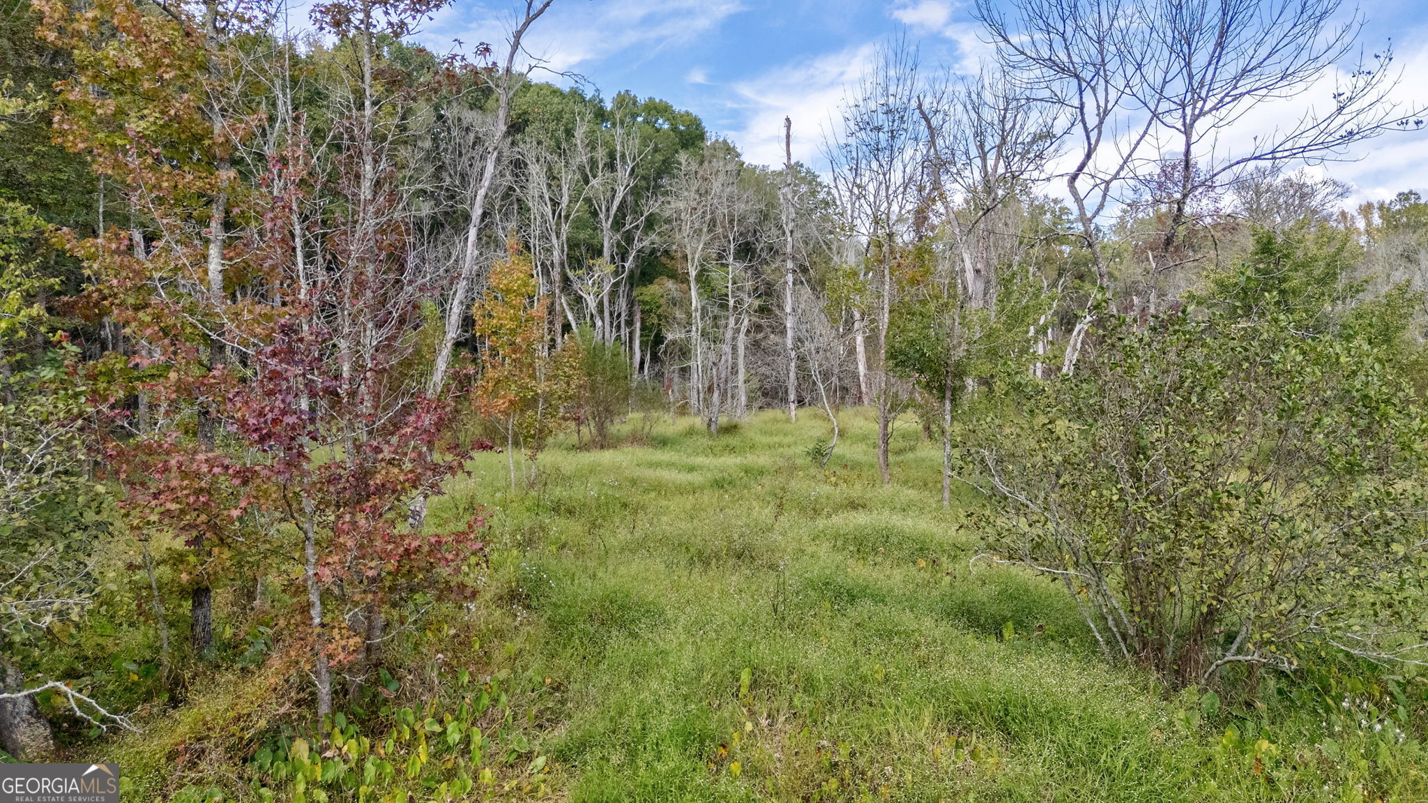 0 Old Salem Road Watkinsville, GA 30677 - Photo 14 of 23 a backyard of a house with lots of green space