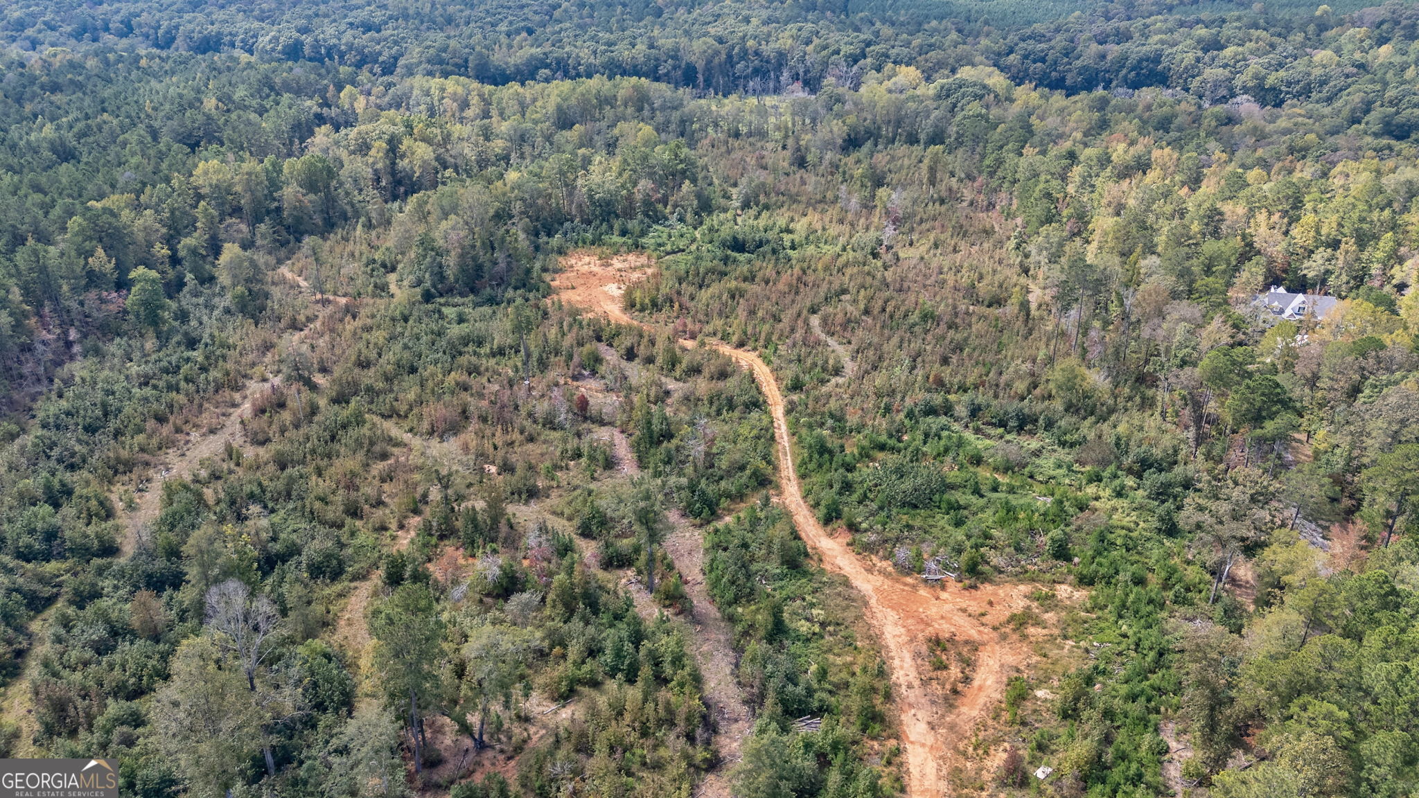 0 Old Salem Road Watkinsville, GA 30677 - Photo 17 of 23 a view of a forest with lots of trees