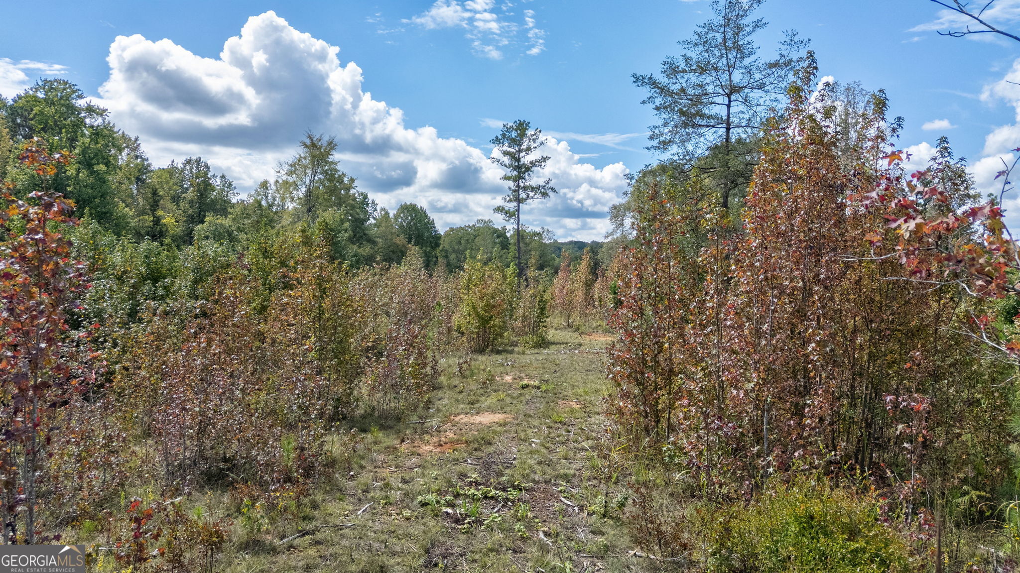0 Old Salem Road Watkinsville, GA 30677 - Photo 18 of 23 a view of a city
