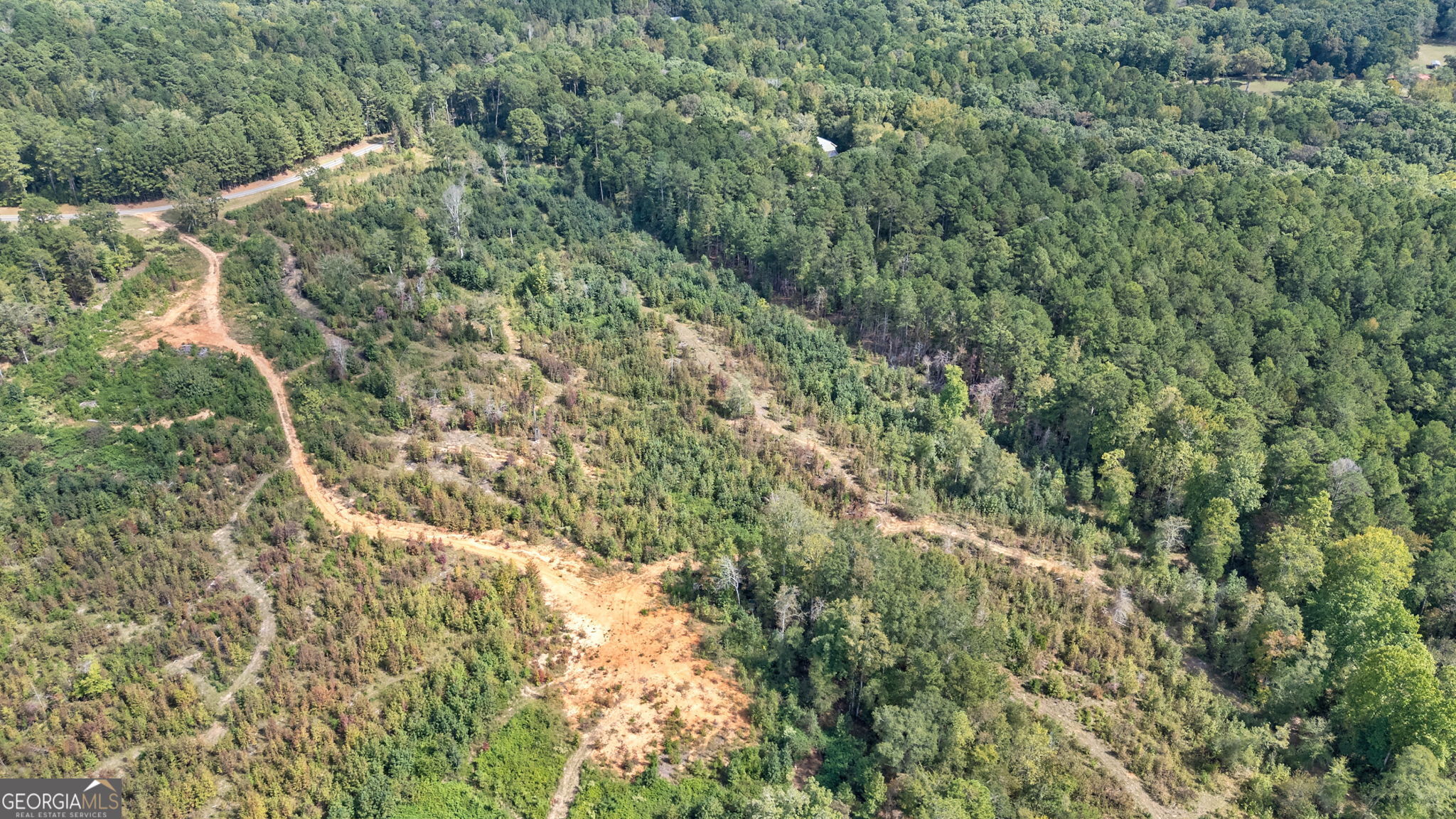 0 Old Salem Road Watkinsville, GA 30677 - Photo 20 of 23 a view of a forest with a tree