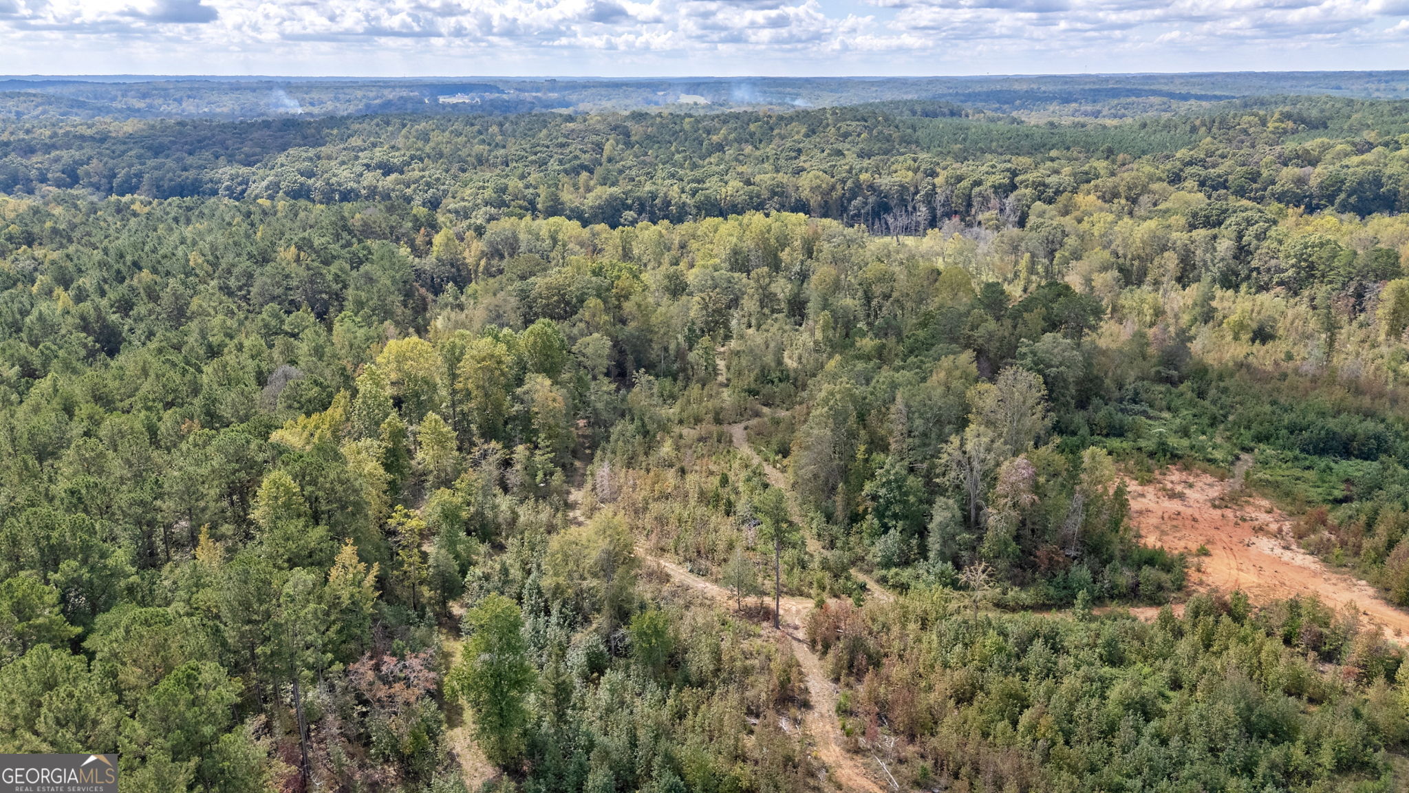 0 Old Salem Road Watkinsville, GA 30677 - Photo 21 of 23 a view of a field with a lush green forest