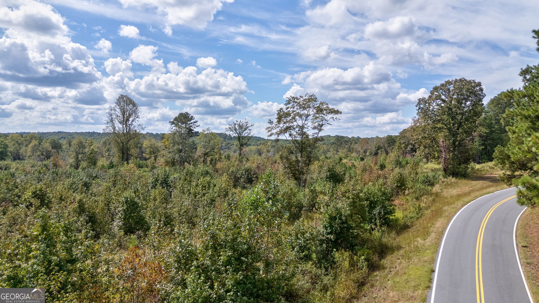 0 Old Salem Road Watkinsville, GA 30677 - Photo 22 of 23 a view of a city with lush green forest