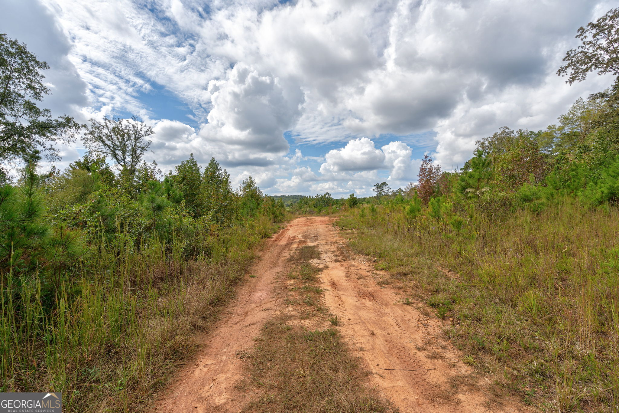 0 Old Salem Road Watkinsville, GA 30677 - Photo 3 of 23 a view of a yard with an trees