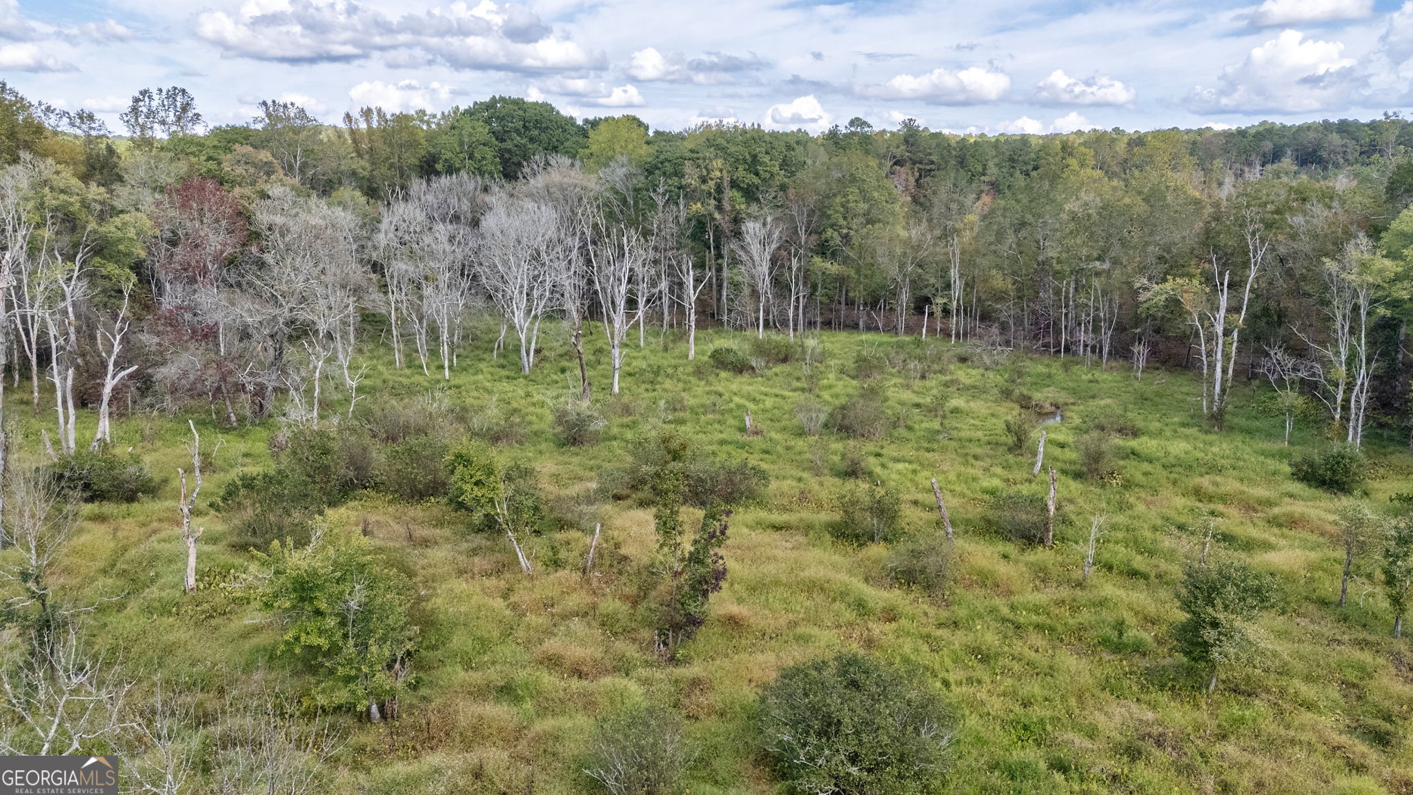 0 Old Salem Road Watkinsville, GA 30677 - Photo 4 of 23 a view of a lush green forest with trees and some houses