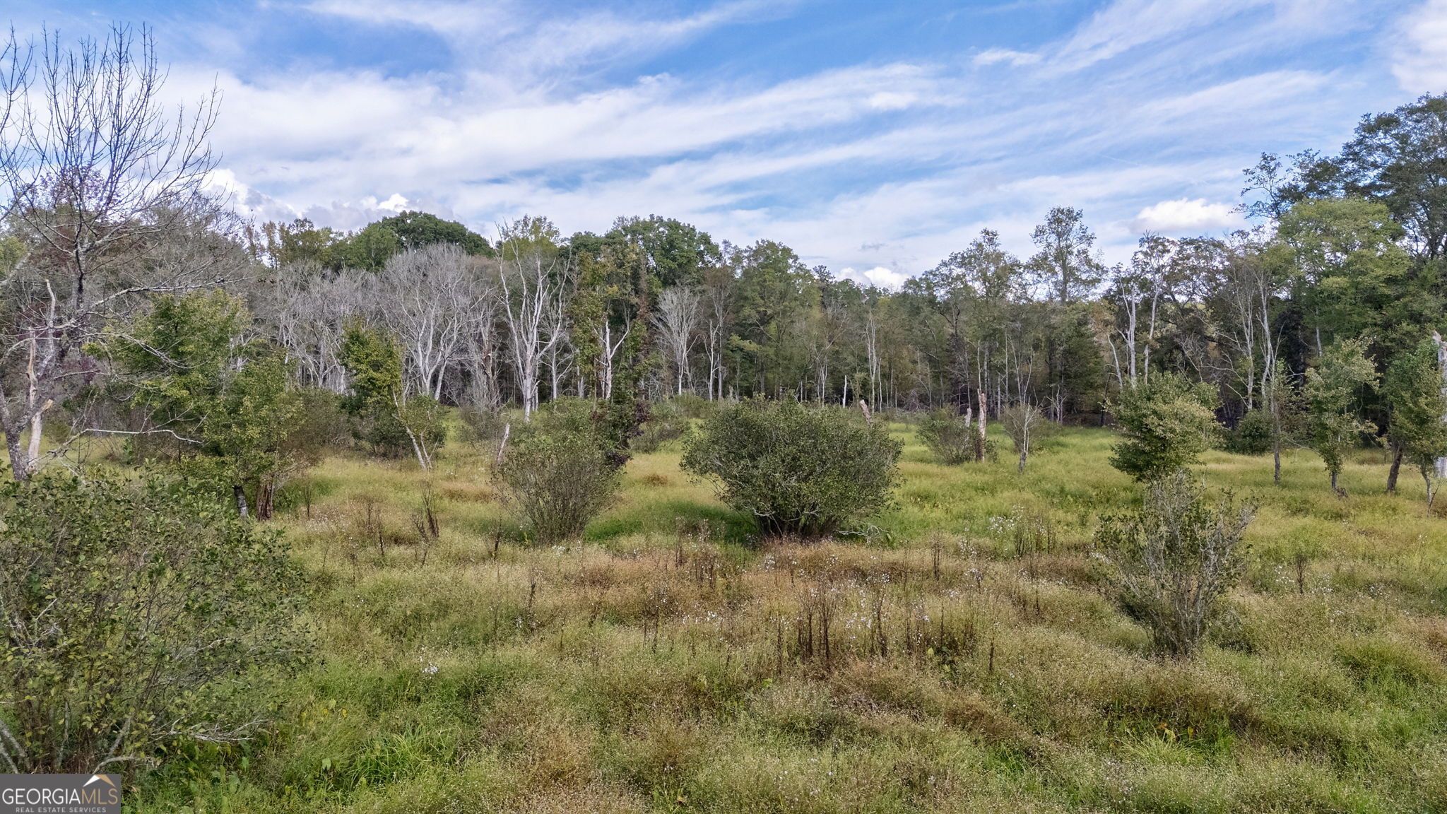 0 Old Salem Road Watkinsville, GA 30677 - Photo 5 of 23 a view of a city with lush green forest