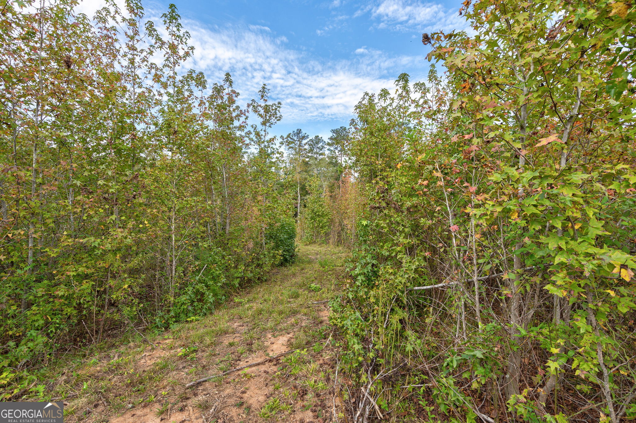 0 Old Salem Road Watkinsville, GA 30677 - Photo 7 of 23 a view of a green yard