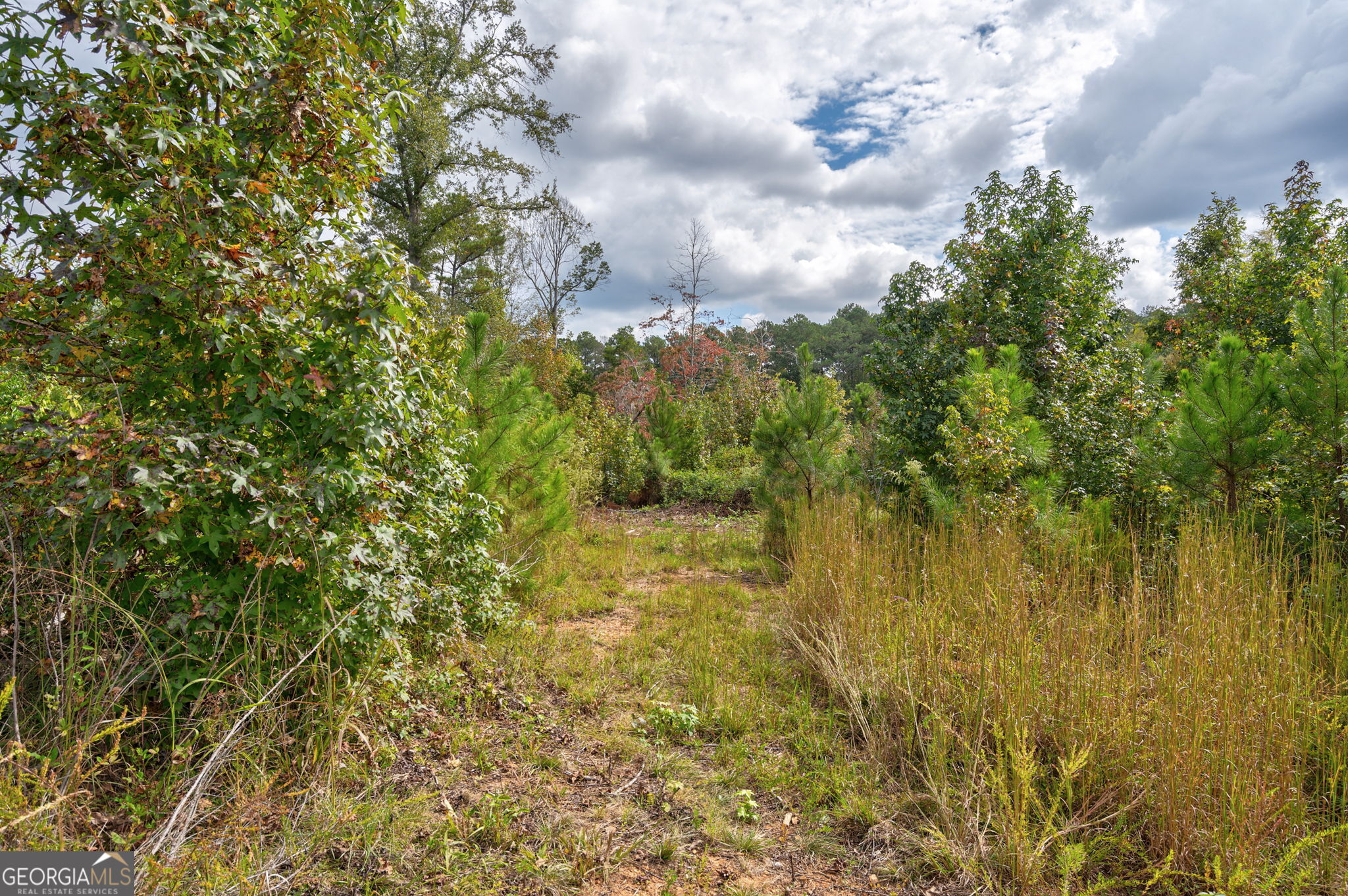 0 Old Salem Road Watkinsville, GA 30677 - Photo 8 of 23 a view of a lake with houses