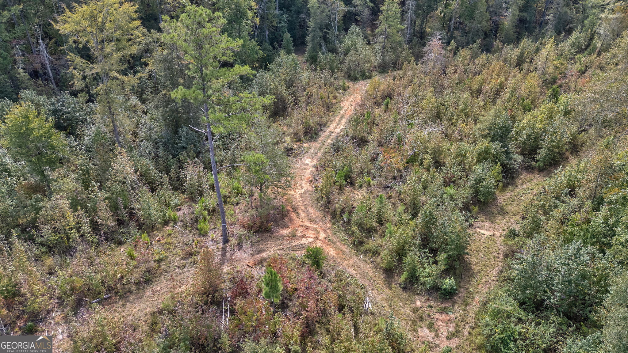 0 Old Salem Road Watkinsville, GA 30677 - Photo 9 of 23 a view of a forest with lots of trees