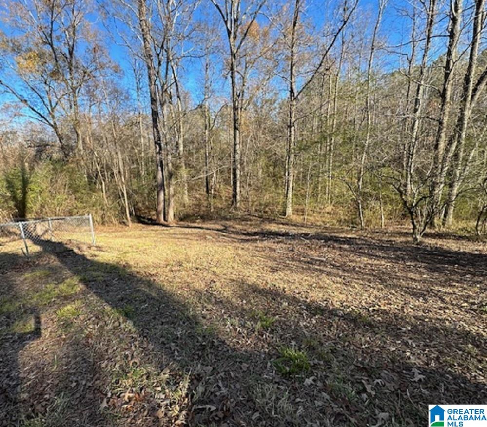 101 Highway 101 Sterrett, AL 35147 - Photo 6 of 25