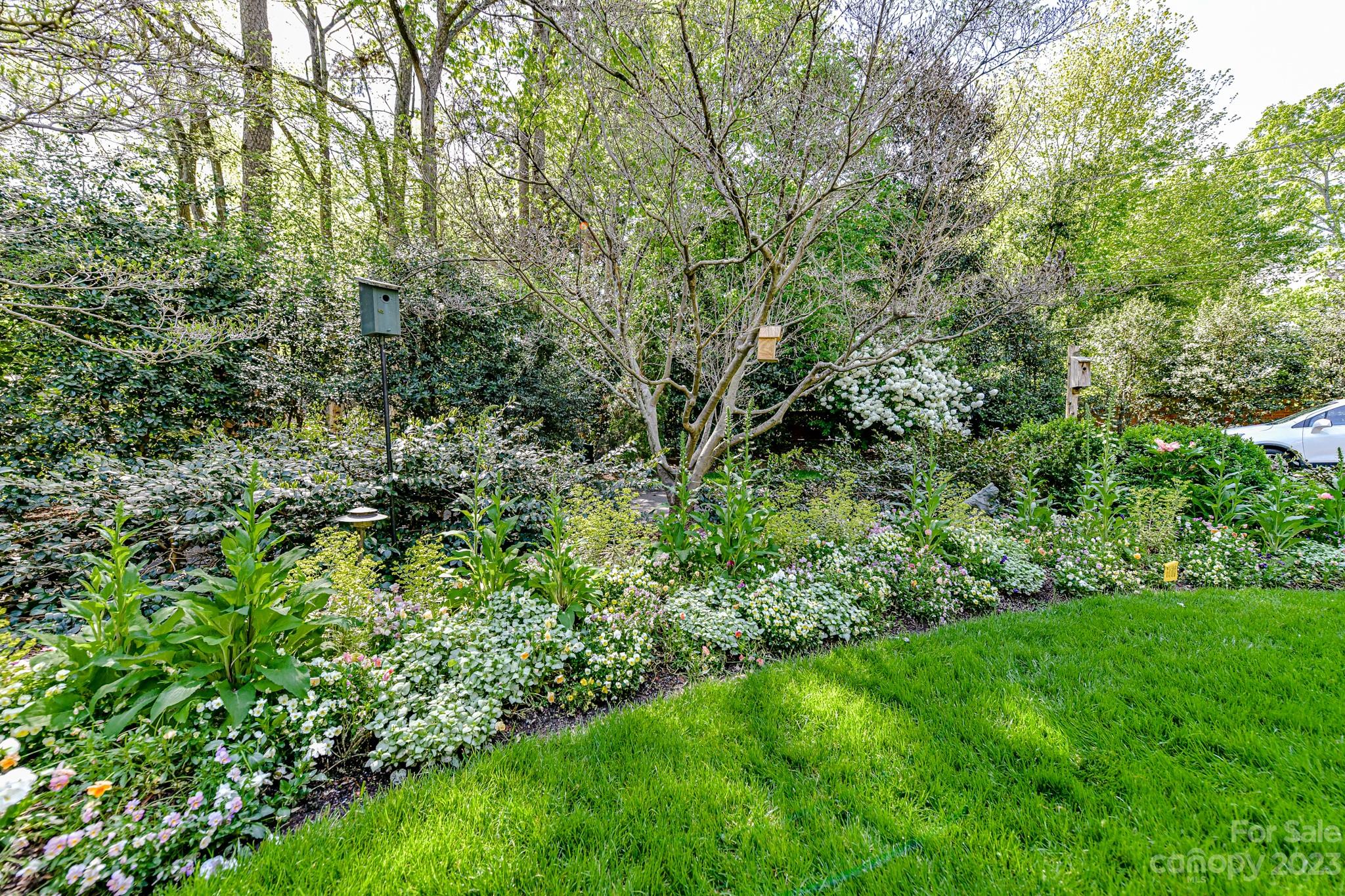 322 Eastover Road Charlotte, NC 28207 - Photo 40 of 47 Gallery Image 40