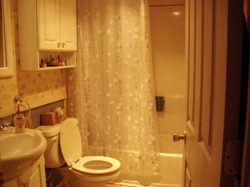 1915 East Clark Street Diamond, IL 60416 - Photo 5 of 14 a bathroom with a sink and a toilet