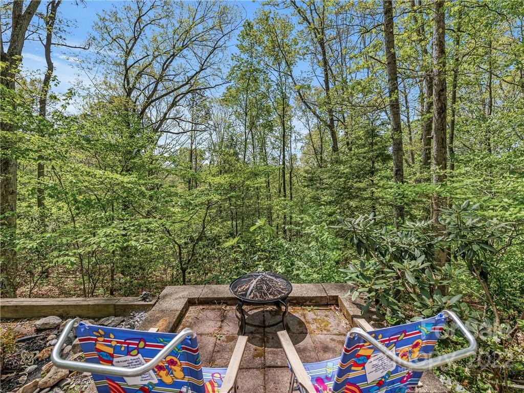 63 Flat Top Mountain Road Fairview, NC 28730 - Photo 11 of 13 Gallery Image 11
