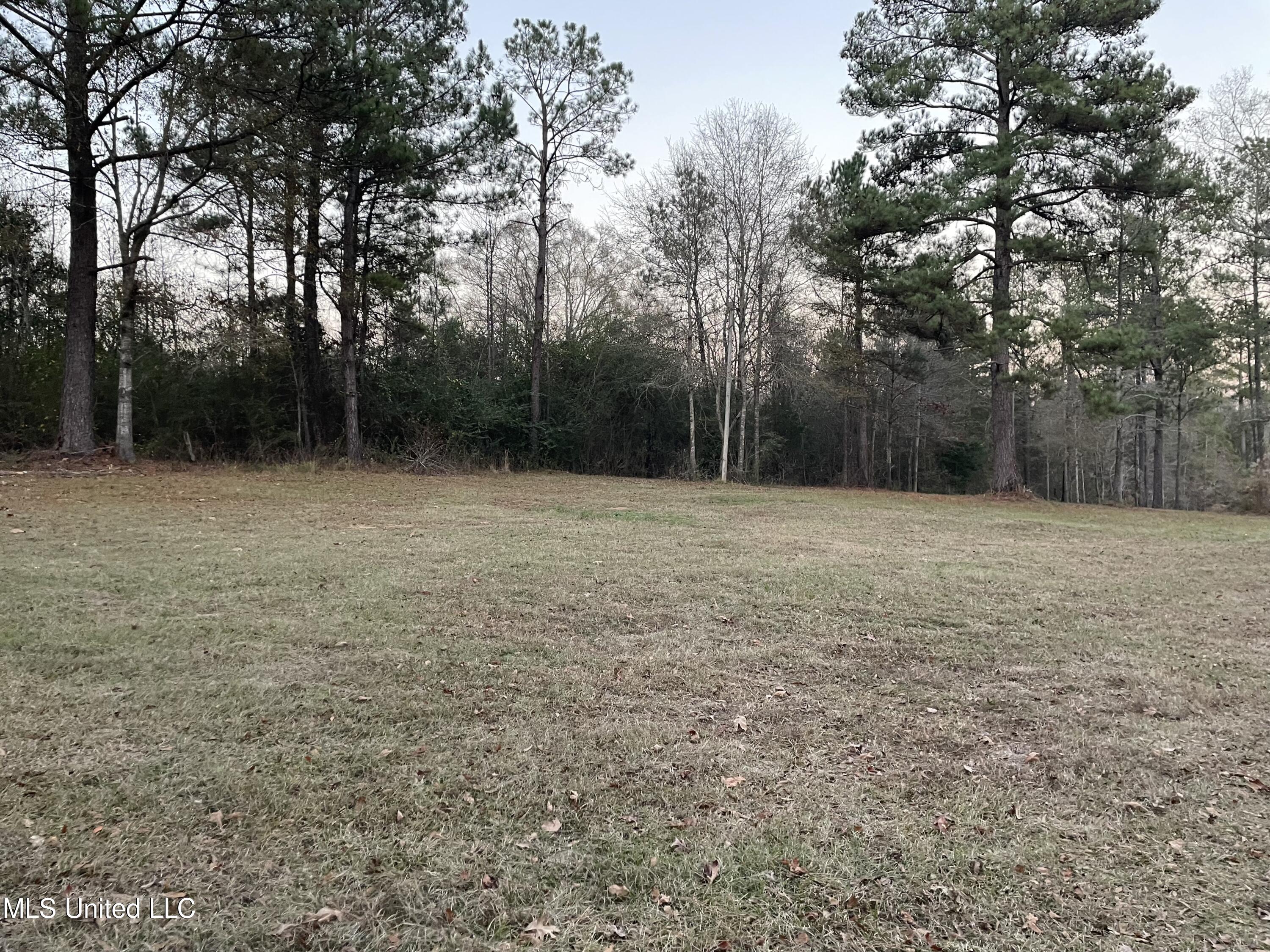 Lenzie Brady Road Braxton, MS 39044 - Photo 2 of 5 Lenzie Brady 2