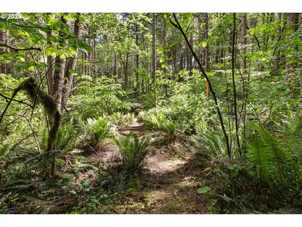 $260,000 | 0 Tonga Lane, Springfield, OR 97478