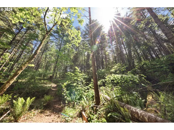 $260,000 | 0 Tonga Lane, Springfield, OR 97478