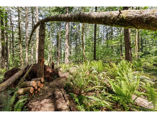 $260,000 | 0 Tonga Lane, Springfield, OR 97478